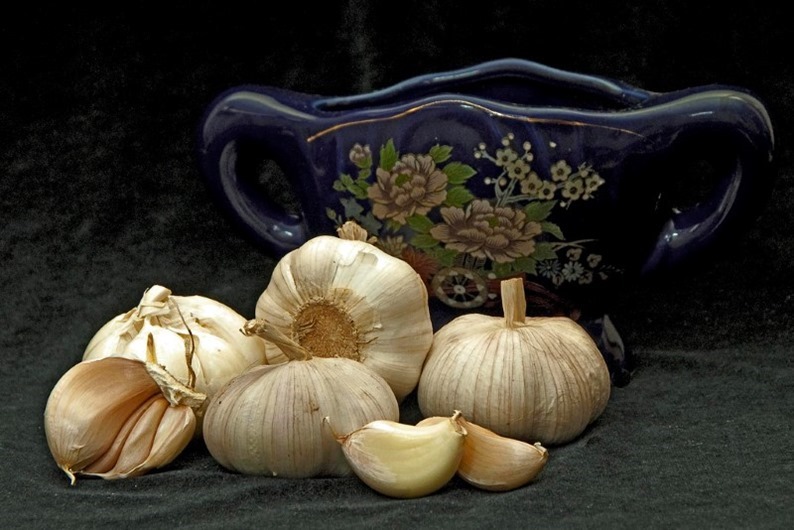 Garlic