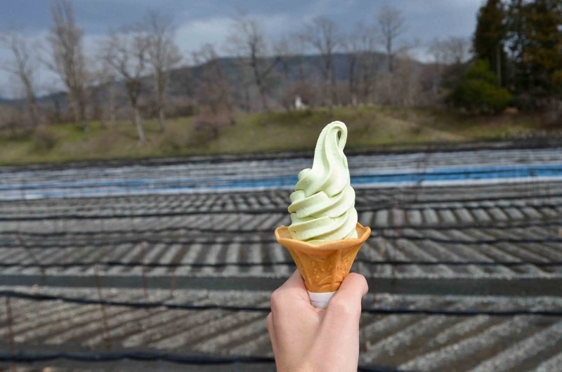 wasabi-ice-cream