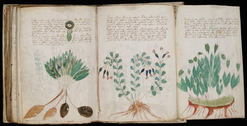 moynich-manuscript